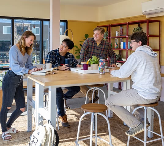 group of friends studying together